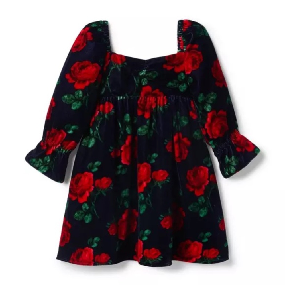 Janie and Jack Rose Velvet Dress